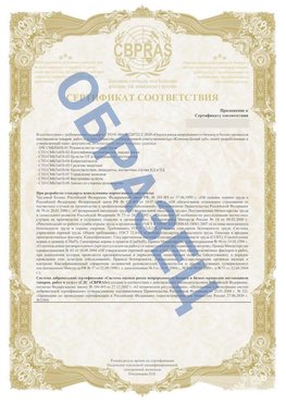 Образец Приложение к СТО 01.064.00220722.2-2020 Бодайбо Сертификат СТО 01.064.00220722.2-2020 
